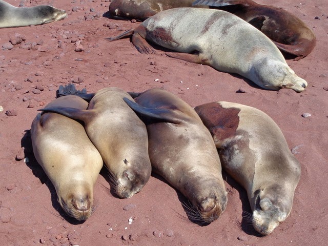 [DSC00668%255B1%255D.jpg]