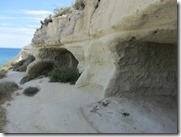 IMG_6273 IMG_6273