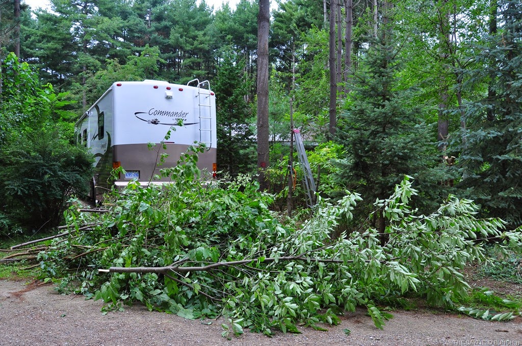 [DSC_0002%255B4%255D.jpg]