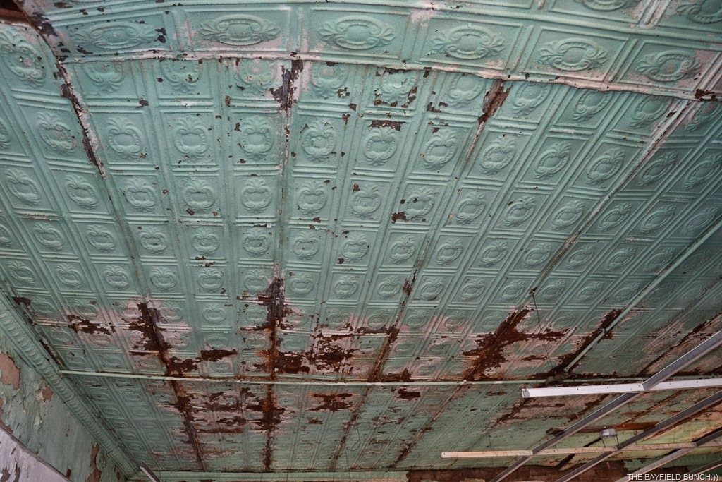 [DSC_0031%255B3%255D.jpg]