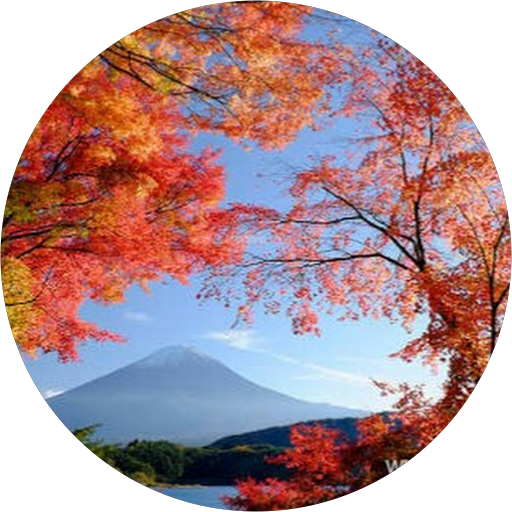 山田太朗