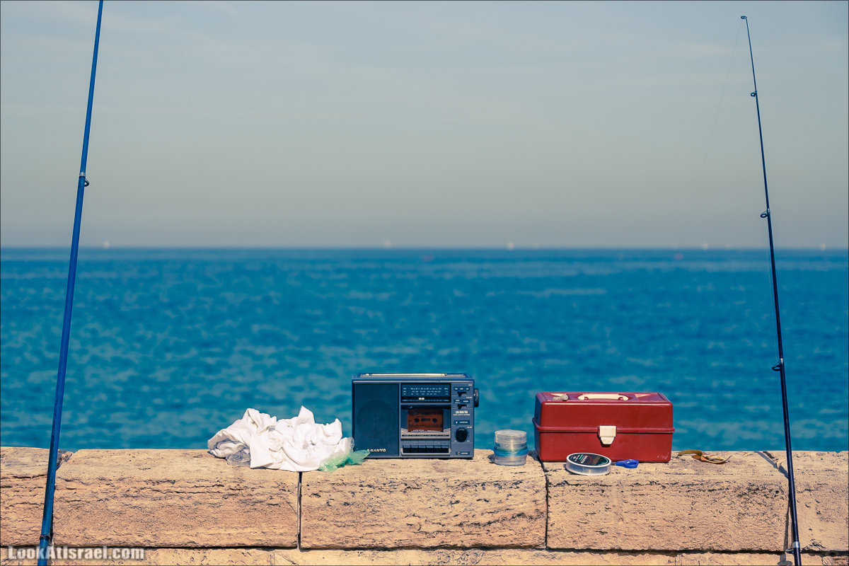 Моменты из жизни Тель Авива | Tel Aviv moments | LookAtIsrael.com - Фото путешествия по Израилю