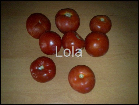 Molho de tomate (3)