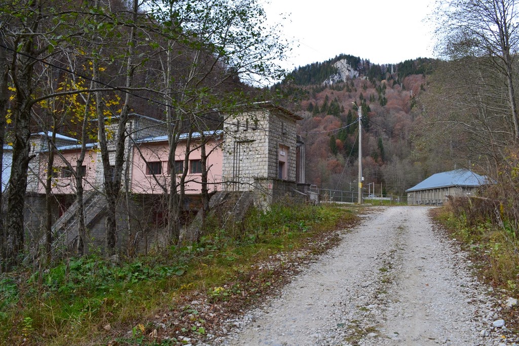 [DSC_04133.jpg]