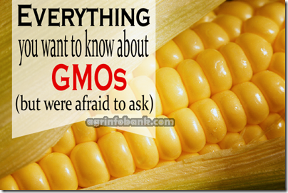 8 Reasons GMOs are Bad for You