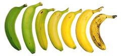 Plátano de verde a maduro