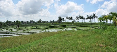 DSC_0236.jpg DSC_0236.jpg