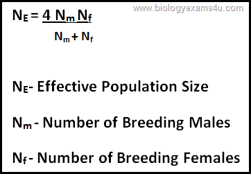 Effective population size equation