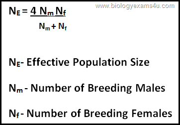 Effective population size equation Effective population size equation