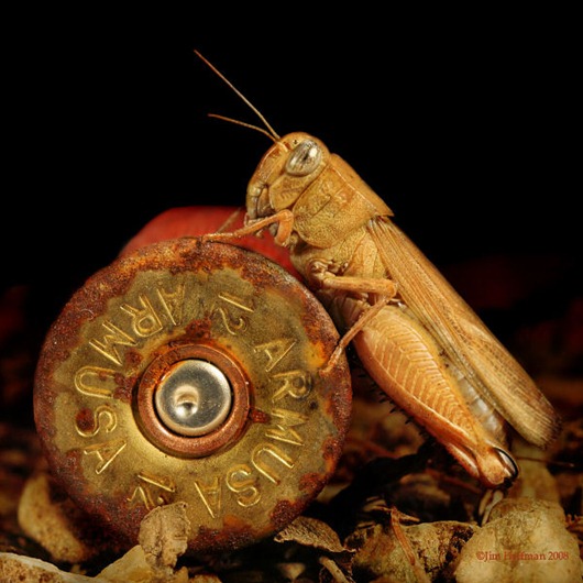 [gh10%255B2%255D.jpg]