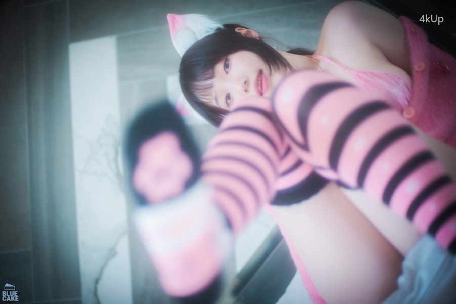 [BLUECAKE] Bambi (밤비) Naughty Cats Pink & Mint RED