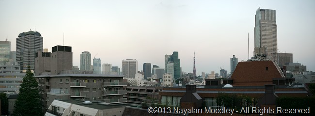tokyo panorama 1