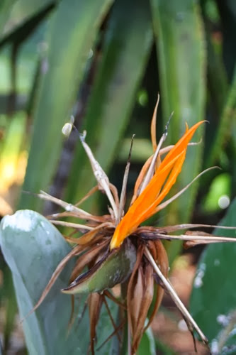 20100301 (5) (Large)