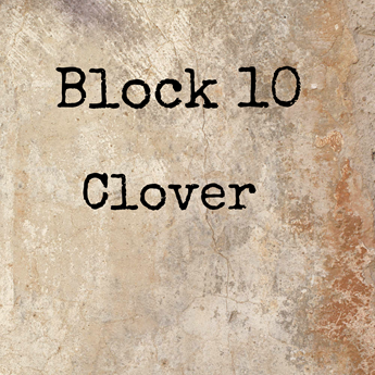 Block 10