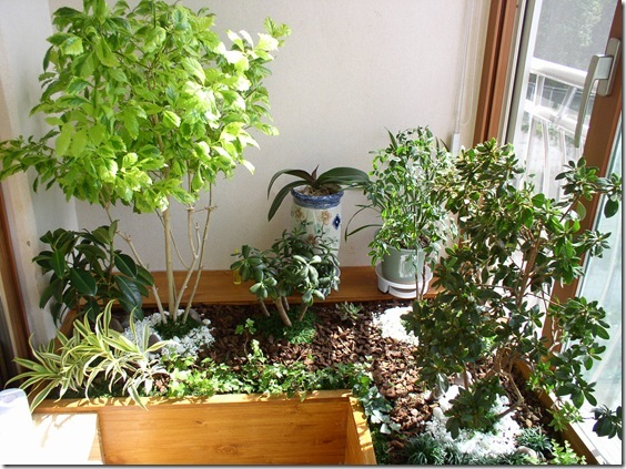 Gallery893_2