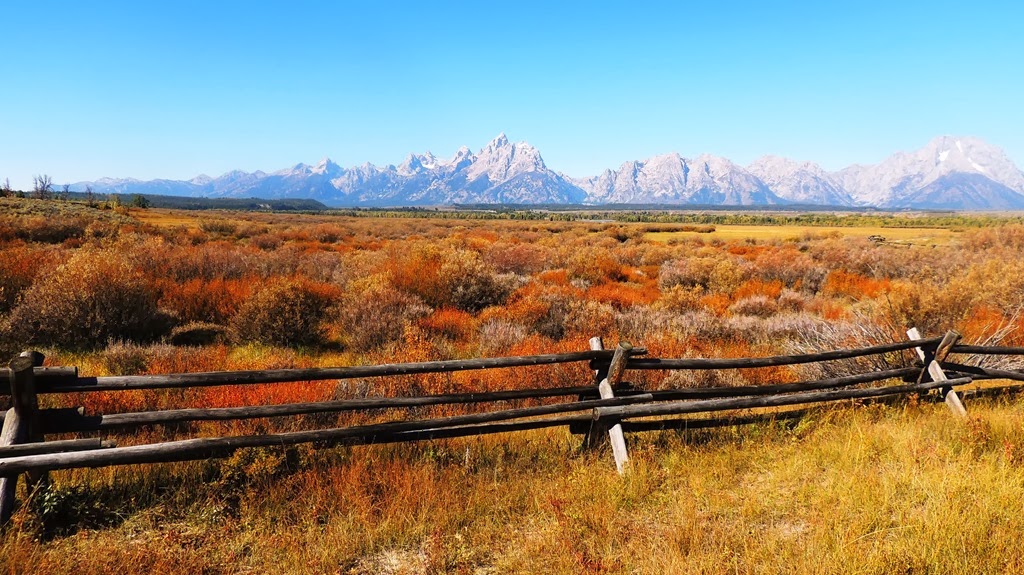 [teton%2520view%2520with%2520orange%2520grasses%2520and%2520fence-%255B12%255D.jpg]