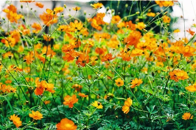 [clip_image001%255B4%255D.jpg]