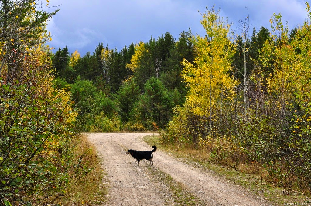 [DSC_0016%255B3%255D.jpg]