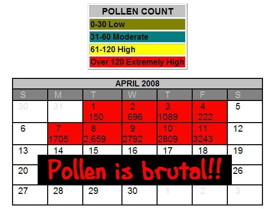 [pollen%2520count%25204-11-08%25201%255B2%255D.jpg]