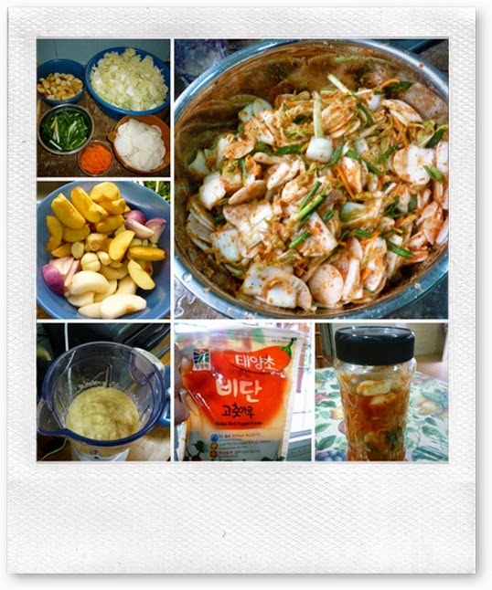 kimchi_collage