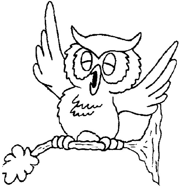 Kleurplaat Uil Op Tak Jpg Karin Vlietstra Kleurplatenlcom