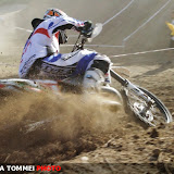 By Alessandra Tommei