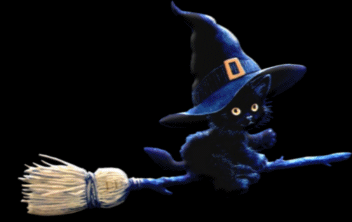 gato-negro-halloween-gifs-13