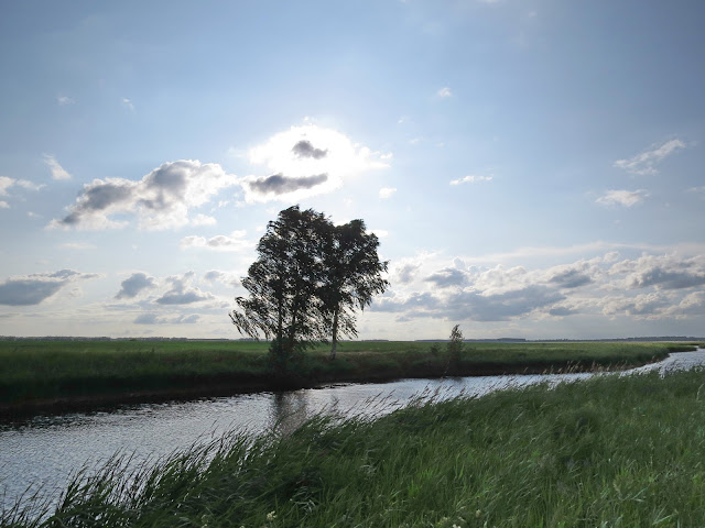 р.Тюкалка (Тришин Александр)