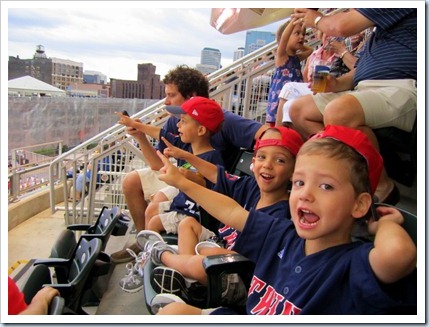 Steece's Pieces: GO TWINS! (The team, not our kids)