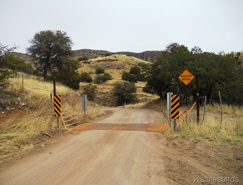 12. cattle guard-kab