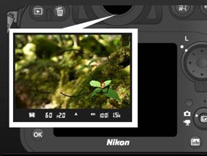 Copyright Nikon - Click to visit Nikon USA for more info