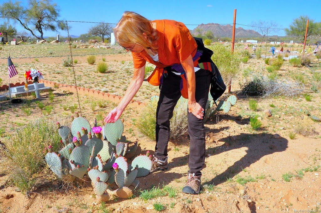 [DSC_0009%255B4%255D.jpg]