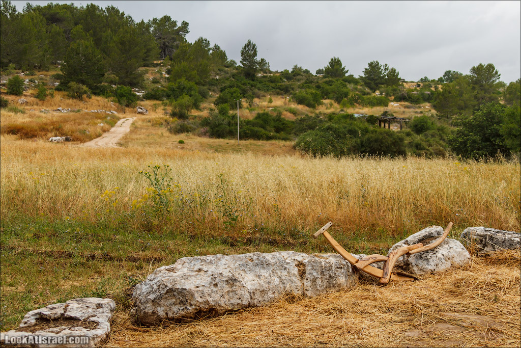 Неот Кдумим - Заповедник библейской природы | נאות קדומים