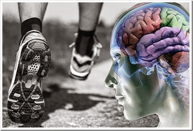 cérebro e exercícios
