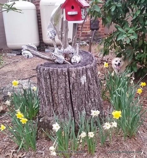 [20150403_191446-001%255B3%255D.jpg]