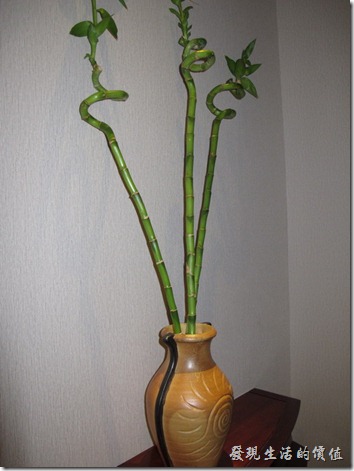 惠州-康帝國際酒店。客房一進門的地方擺了一盆幸運竹，可惜這竹子似乎照顧的並不太好，花瓶倒是蠻漂亮的。