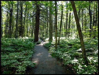 02e2 - Rachel Carson Nature Trail