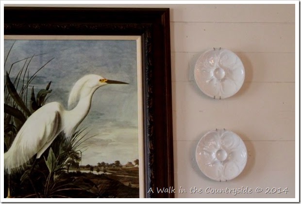 audubon print and oyster plates for the wall