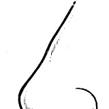 DIBUJOS DE NARICES PARA COLOREAR – Dibujos para colorear