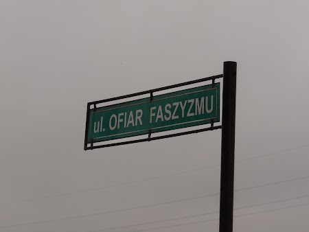 34. Strada victimelor fascismului.JPG