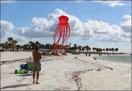 Fred Howard Park beach octopus kite