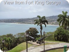 025 View from Fort King George
