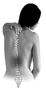 [coluna%2520vertebral%255B3%255D.jpg]