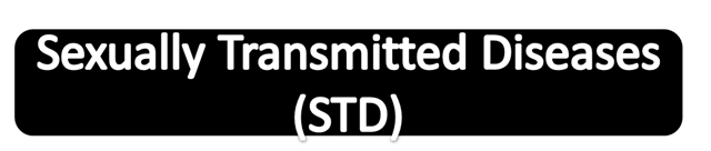 Sexually transmitted diseases  (STD)