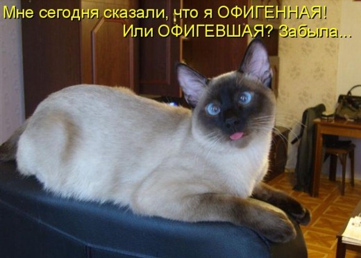 [kot_49%255B3%255D.jpg]