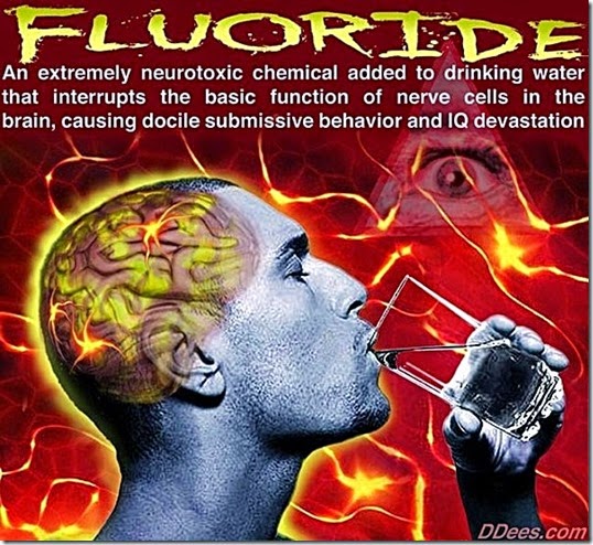 Fluoride neurotoxic poinon to brain