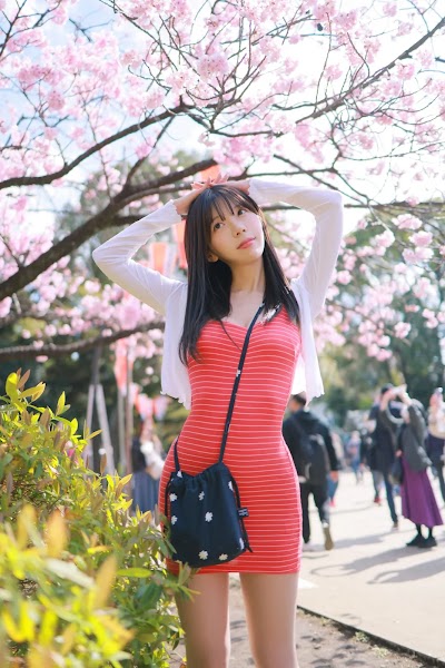 [Patreon] 쏘블리 (@leeesovely) Sakura Part2
