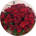 Melissa McCanns profile picture