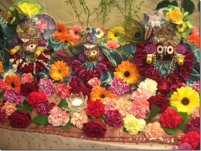 jagannatha plus