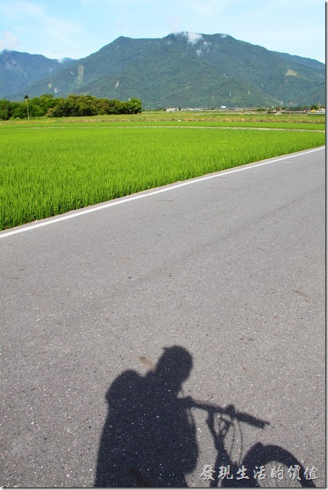 騎乘自行車在台東縣池上鄉一大片的稻田中，讓人有種說部出的舒服，彷彿可以把所有的煩惱拋諸腦後，但要是烈日當空，就要小心中暑了。